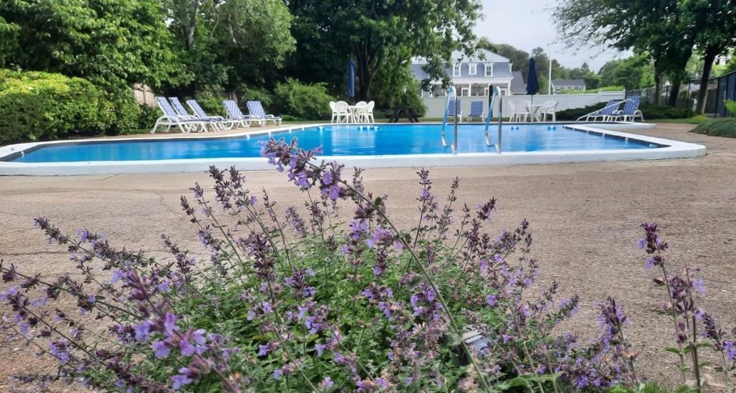 Harwichport Resort Club Harwich Port Dış mekan fotoğraf